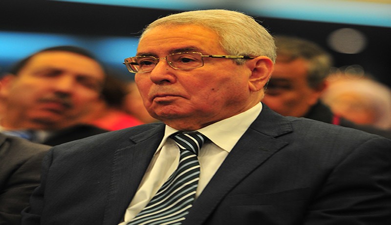 قانون المالية يربك بن صالح