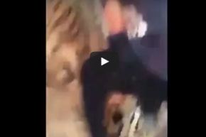 بالفيديو.. حاول اللعب مع نمر فشاهد ماذا وقع له