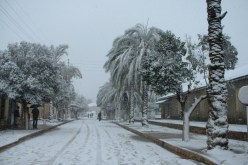 تسجيل خسائر مادية جسيمة بقرية قزاقزة (المدية) بفعل الرياح القوية