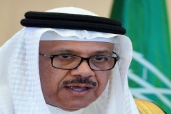 الزياني ينفي ما نسب إليه حول العلاقات الخليجية المصرية