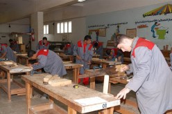 4 ٪ فقط من الشباب يفضلون التخصصات الفلاحية بمراكز التكوين