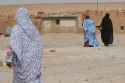 مخازن الهلال الأحمر خاوية على عروشها و60 بالمئة من الحوامل الصحراويات مصابات بفقر الدم