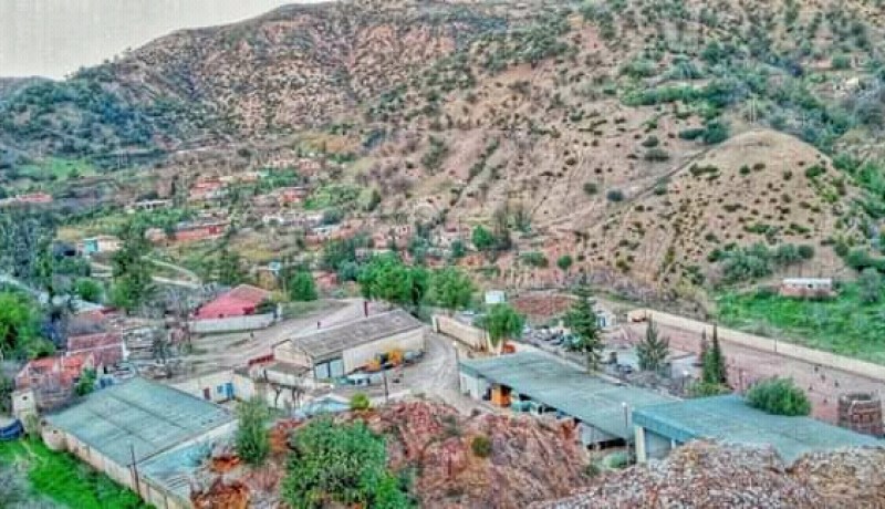 الشلف: وفاة طفل دهسته سيارة نفعية بضواحي منطقة بورياش ببلدية بريرة