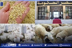 الحكومة تدرس إعفاء عملیات بیع الشعیر والذرة والمواد والمنتجات الموجھة لتغذية المواشي والدواجن من tva