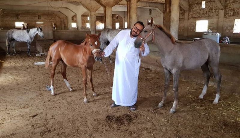عريبي يقضي «الكونجي» مع الخيل والغنم