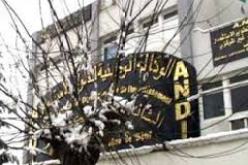 الوكالة الوطنية لتطوير الاستثمار تعلن عن مسابقة لاحسن مشروع استثماري مبتكر للنساء