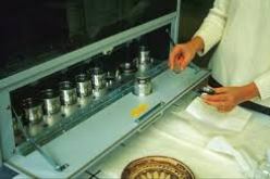 زرهوني تدعو الى ضرورة القضاء على البيروقراطية بهياكل الصناعة التقليدية لتثمين مناصب الشغل