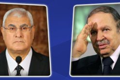 رسالة عدلي منصور لبوتفليقة تعكس عمق العلاقات الثنائية بين البلدين