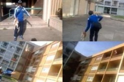 ادانة شاب بعام سجن بعد تعذيبه لقط في فرنسا