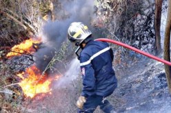 الحرائق تتلاف 8 هكتارات من الأحراش و 150 شجرة مثمرة  في قالمة