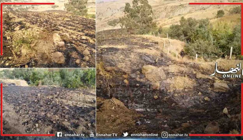 الشلف: إندلاع حريق مهول بمستثمرة فلاحية في الزبوجة