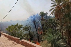 البيض: نشوب حريق بواحة بوسمغون يتلف 307 نخلة (صور)