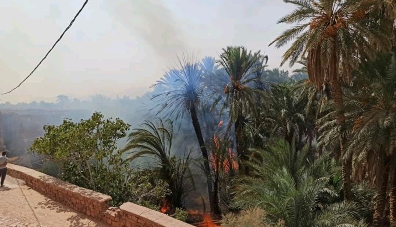 البيض: نشوب حريق بواحة بوسمغون يتلف 307 نخلة (صور)
