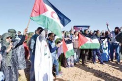روما تؤكد التزامها بالعمل من داخل مجلس الامن للإسراع  بتنظيم استفتاء لتقرير مصير الشعب الصحراوي