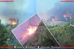 الشلف: إندلاع حريق بغابة بعدوس بإقليم بلدية المرسى