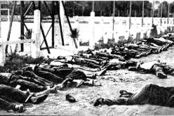 تسجيل أكثر من 6000 شهادة تاريخية حية