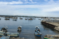 زوارق الاحتلال الصهيوني تطلق النارعلى الصيادين في غزة