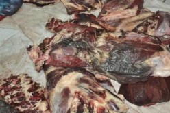 حجز أكثر من 16 قنطارا من اللحوم الفاسدة داخل مدرسة خاصة في الشراقة بالعاصمة