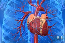الإستراتيجية الجديدة لتّكفل الأمثل بمرضى القلب
