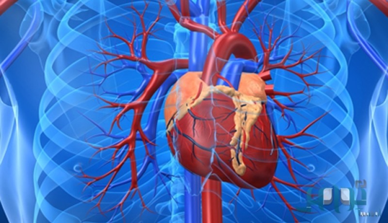 الإستراتيجية الجديدة لتّكفل الأمثل بمرضى القلب