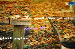 فيديو.. أهمية صلاة الفجر في وقتها