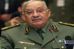 ڤايد صالح يلتقي قائد أفريكوم