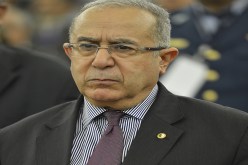 أبواق المخزن تفتري