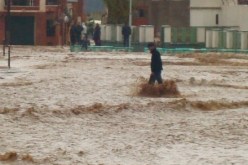 الحماية المدنية: ولاية الجزائر أكبر المناطق تضررا / بلدية القصبة أنقذت سكان عمارة من موت محقق