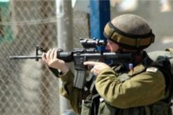 مقتل فلسطيني برصاص المحتل في الضفة الغربية