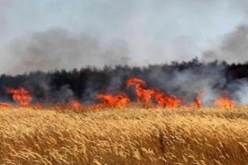 حريق يأتي على 20 هكتار قمح وحزم تبن بالبرج شرق تلمسان