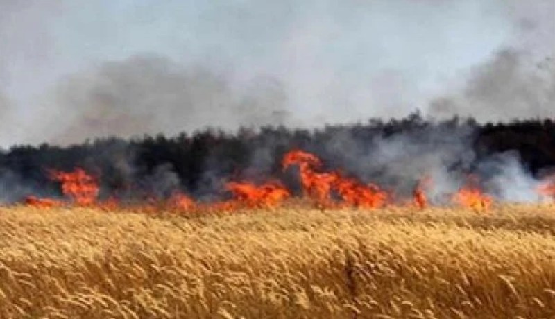 حريق يأتي على 20 هكتار قمح وحزم تبن بالبرج شرق تلمسان