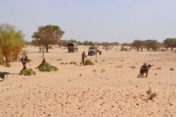 توقيف 18 مهربا من جنسيات إفريقية في عين قزام