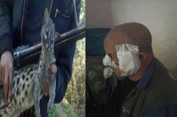 حيوان مفترس يقتـل شخصا ويجـرح 12 آخريـن في بومرداس