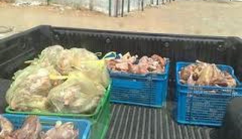 حجز قنطار دجاج فاسد وحليب اوكلي منتتهي الصلاحية بغرداية وورقلة