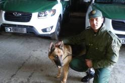 عياري أمين ضحية المهرّبين في الحدود الجزائرية