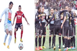 أغرب شومبيونا في العالم بالأرقام