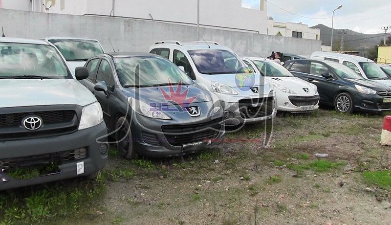 شبكة تهريب تستأجر هويات «الزواولة» لتسجيل سيارات مسروقة بأسمائهم!