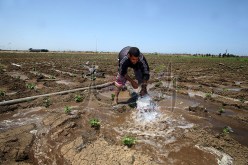 الفلاحون ملزمون ببيع منتجاتهم داخل أسواق الجملة