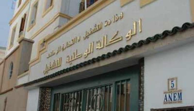 توظيف 11 ألف شاب في تيزي وزو خلال تسعة أشهر