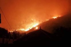 الحرائق : الفدرالية الوطنية لعمال الغابات تعبّر عن قلقها “الشديد”