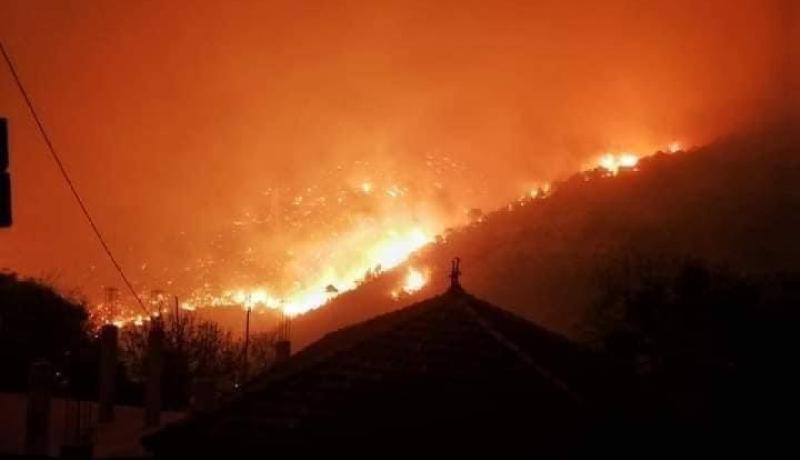 الحرائق : الفدرالية الوطنية لعمال الغابات تعبّر عن قلقها “الشديد”