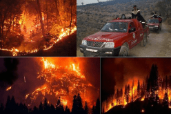 بالفيديو حريق مهول يشب في جبال سيق بمعسكر