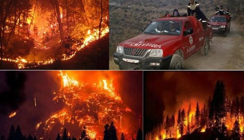 بالفيديو حريق مهول يشب في جبال سيق بمعسكر