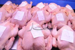 حجز 142 كلغ من اللحوم البيضاء في غليزان