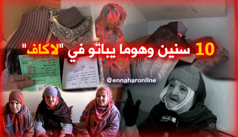 بالفيديو.. عجوز وابنتيها اتخذن من أقبية العمارات مأوى لهن بالجلفة