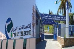 إطلاق رقم أخضر للتكفل باستفسارات وانشغالات المواطنين في مجال التأمينات الاجتماعية