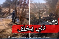 بالصور.. الحماية المدنية تنقذ 80 نخلة في إحتراق مزرعة بالوادي