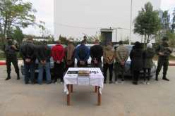 توقيف 11 بارون مخدرات وحجز قرابة قنطار “زطلة” في تلمسان