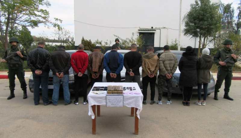 توقيف 11 بارون مخدرات وحجز قرابة قنطار “زطلة” في تلمسان