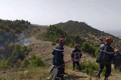 إندلاع حريق مهول بغابة الخبابزة بأولاد بن عبد القادر في الشلف